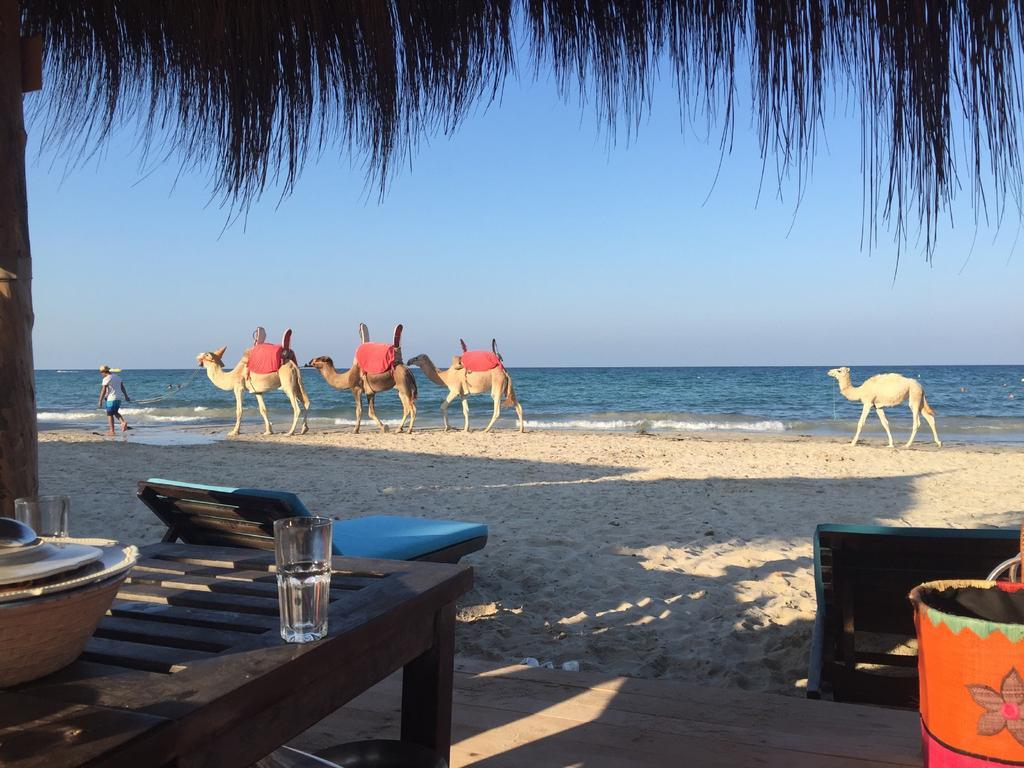 Hotel Djerba Orient Mezraia Dış mekan fotoğraf